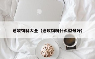 速攻饵料大全（速攻饵料什么型号好）