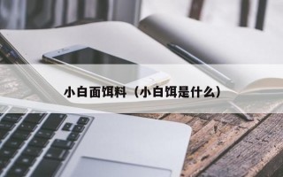 小白面饵料（小白饵是什么）