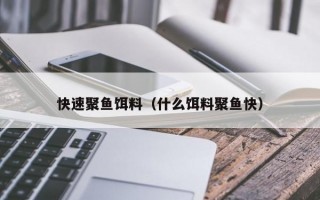 快速聚鱼饵料（什么饵料聚鱼快）