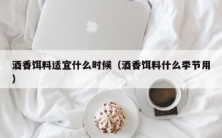 酒香饵料适宜什么时候（酒香饵料什么季节用）