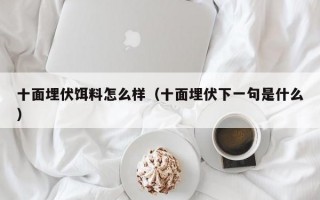 十面埋伏饵料怎么样（十面埋伏下一句是什么）