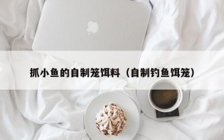 抓小鱼的自制笼饵料（自制钓鱼饵笼）