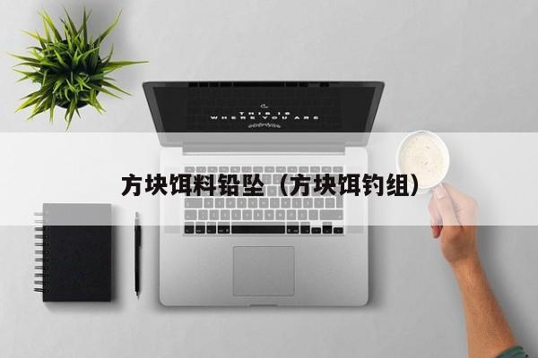 方块饵料铅坠（方块饵钓组）-第1张图片-771771威尼斯.Cm - 官方·网站